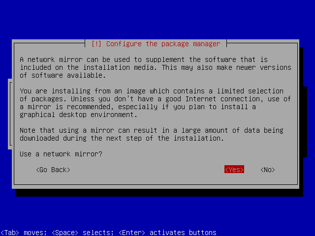 Network mirror option